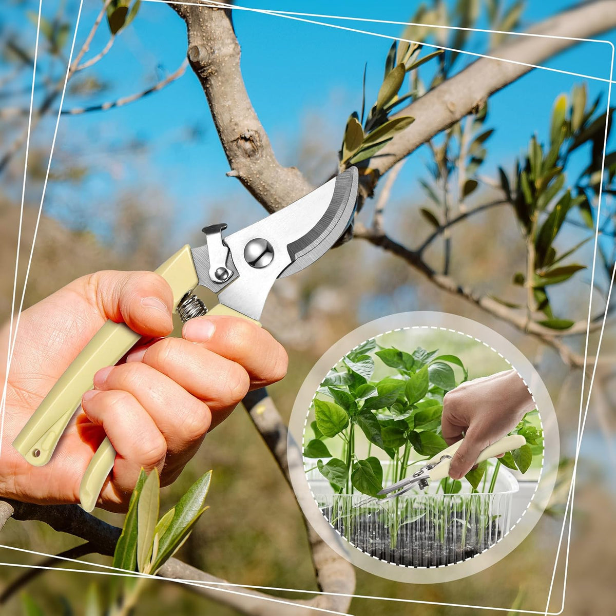 Chumia 6 Pcs Garden Pruning Shears Flower Shears Handheld Heavy Duty Garden Scissors Stainless