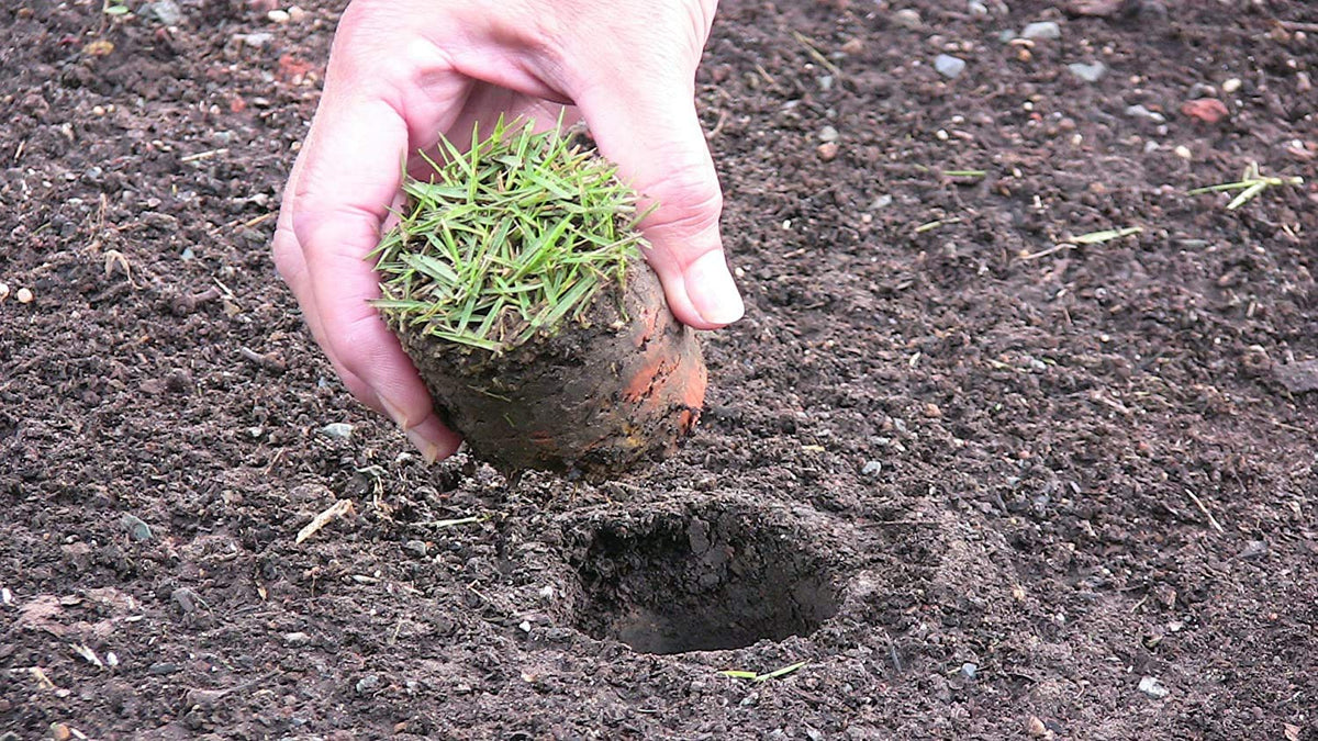 ProPlugger 5-IN-1 Lawn Tool and Garden Tool, Bulb Planter, Weeder, Sod Plugger, Annual Planter