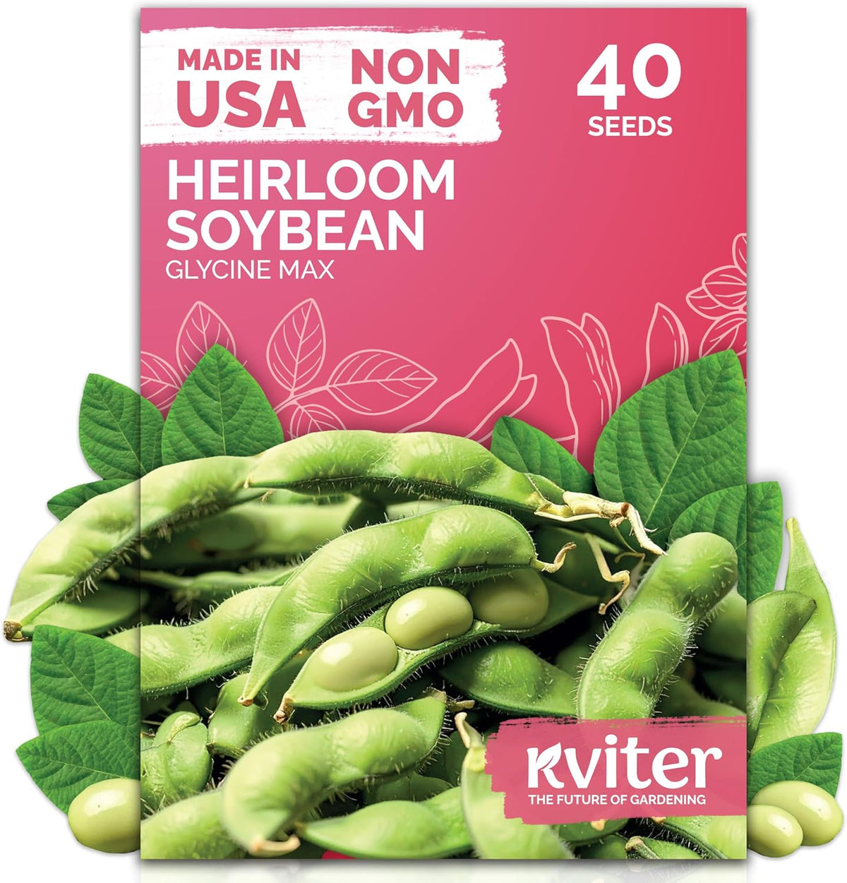KVITER 40 Soy Bean Midori Giant Edamame Seeds (Glycine max) - Green Soybean, Soy Beans Organic Non