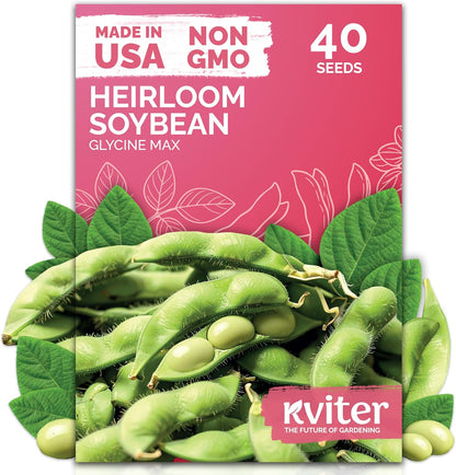 KVITER 40 Soy Bean Midori Giant Edamame Seeds (Glycine max) - Green Soybean, Soy Beans Organic Non