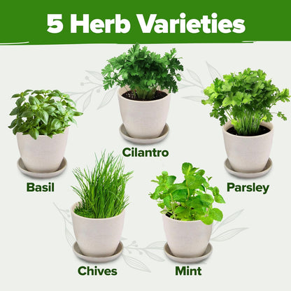 HOME GROWN Indoor Herb Garden Starter Kit - Christmas Gift for Gardeners - Complete 5 Herb Plant