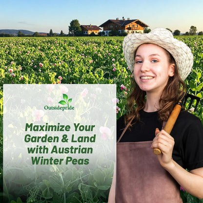 Outsidepride Austrian Winter Peas Seeds for Planting – 5 lbs Bag (Cool-Season Cover Crop