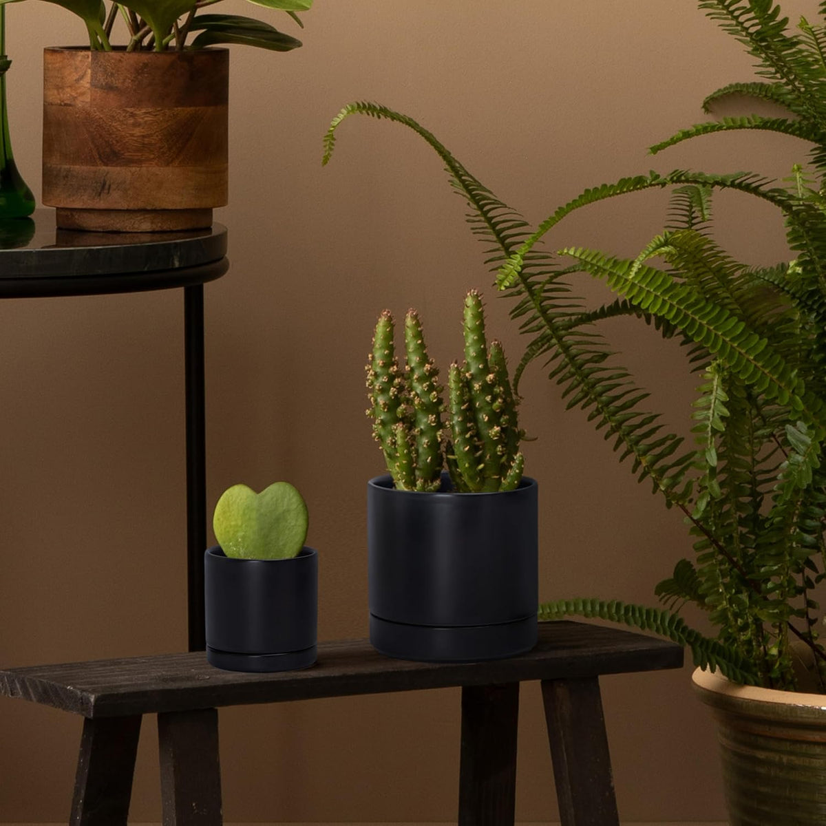 D'vine Dev 3.5 Inch & 4.7 Inch Ceramic Planter Pots for Plants with Drainage Hole and Saucer