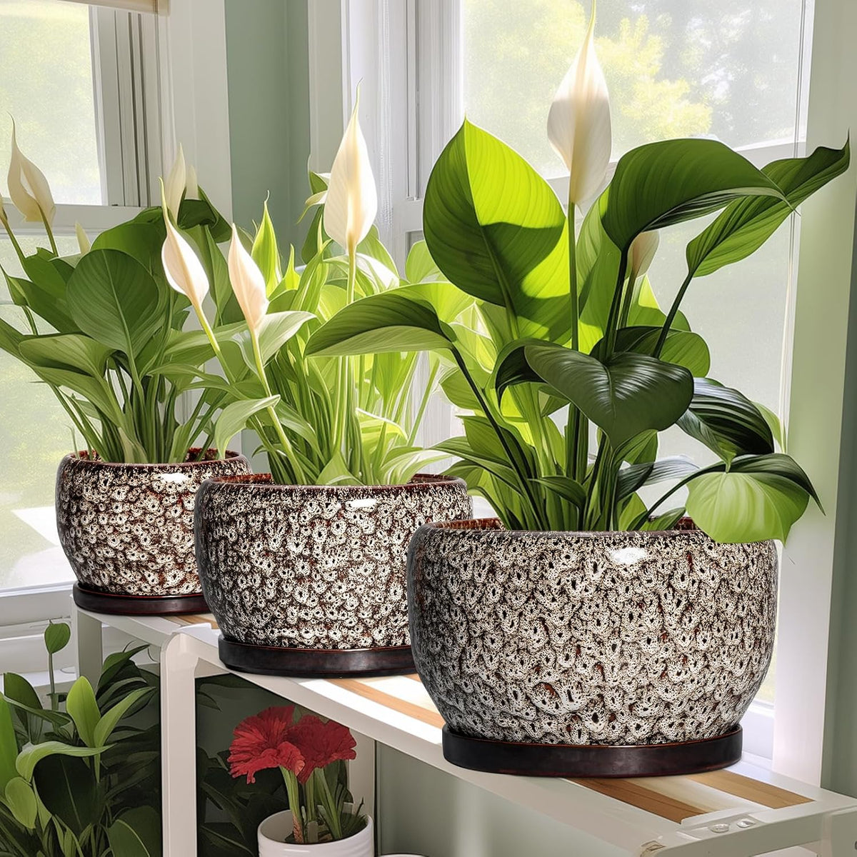 SQOWL Ceramic Planter - 8 inch Plant Pot Indoor with Drainage Hole and Plant Saucer, Round Ceramic