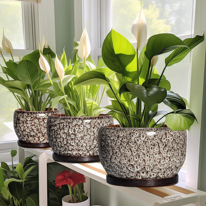SQOWL Ceramic Planter - 8 inch Plant Pot Indoor with Drainage Hole and Plant Saucer, Round Ceramic