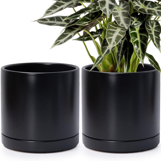 D'vine Dev Set of 2 Plants Pots, 10 Inch Ceramic Planter Pot for Plants with Drainage Hole and