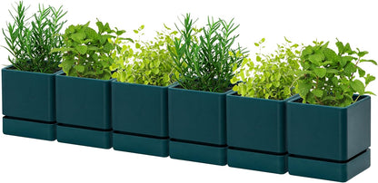 4 Inch Herb Planter Pot, Plastic Planter with Drainage Holes and Saucer, Modern Decorative