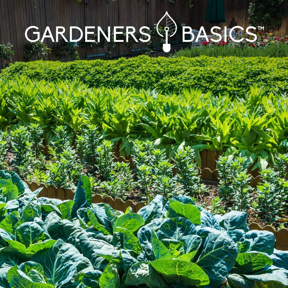Gardeners Basics Seed Safe Kit – 35 Easy-to-Grow Heirloom Vegetable Seeds for Beginners – Non-GMO