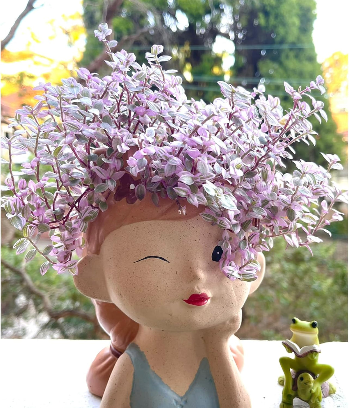 Live Succulents Pink Lady (4-inch), Succulent Plants Fully Rooted in Pots with Soil, Easy-Care
