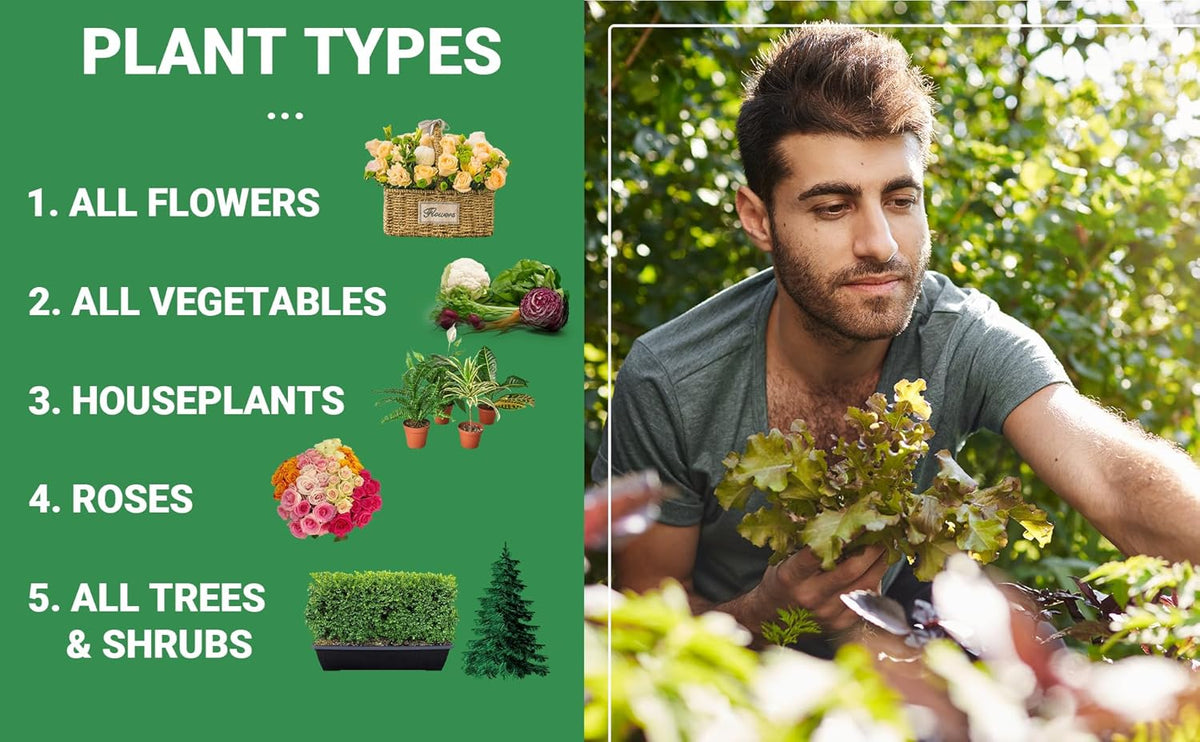 6-6-6 All-Purpose Professional Plant Food Fertilizer; Ideal for Winter Care & Spring Feeding