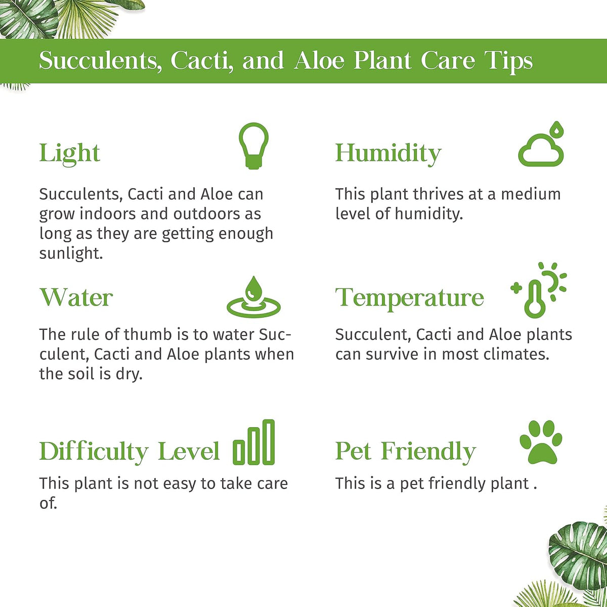 Aloe Vera Live Plant for Indoor | Different Houseplants in 4'' & 6'' Pot | Real House Plant for