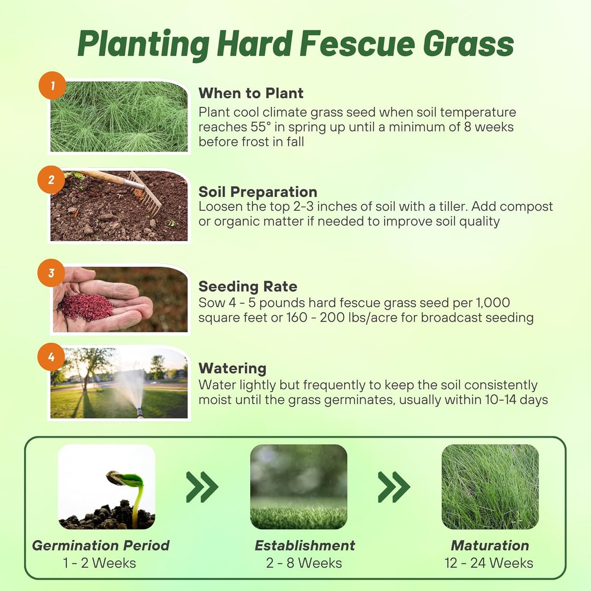 Outsidepride Hard Fine Fescue Grass Seed - 5 lbs. Low-Growing, Drought & Shade-Tolerant, OptiGrowth