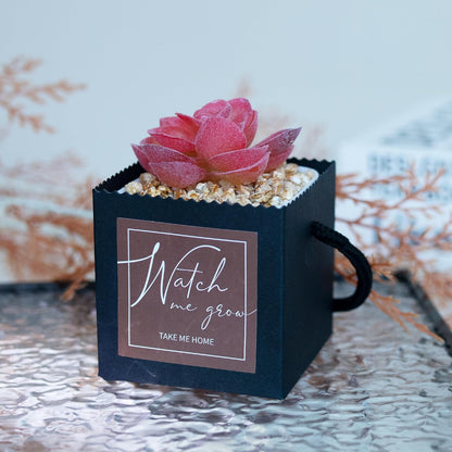 Temlum 2.5 Inch Succulent Wrap Bags (Fits 2.5″ Pots) with Thank You & Watch Me Grow Stickers, Small