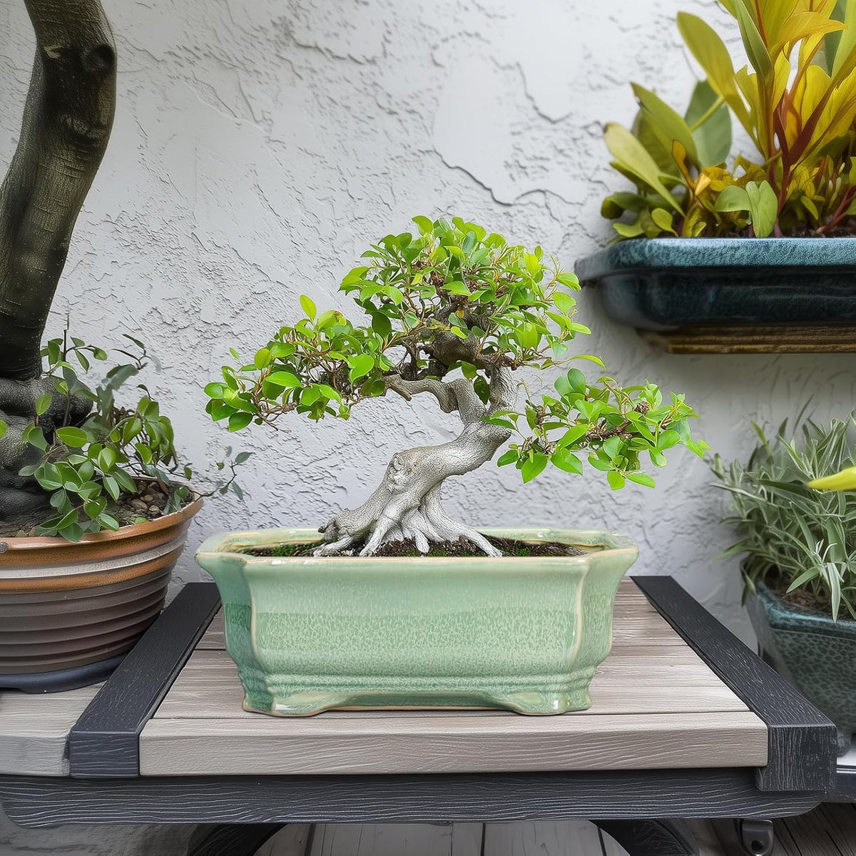 Bonsai Tree Pot 11.6 Inch - Ceramic Succulent Pots, Bonsai Planter for Indoor Outdoor, Decorative