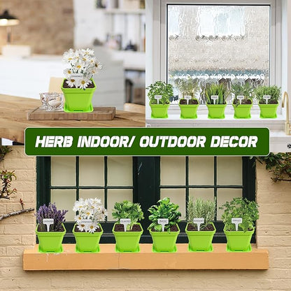 10 Herb Seeds Garden Starter Grow Kit with Green Pots, Markers, Nutritional Soil, Watering, Herb