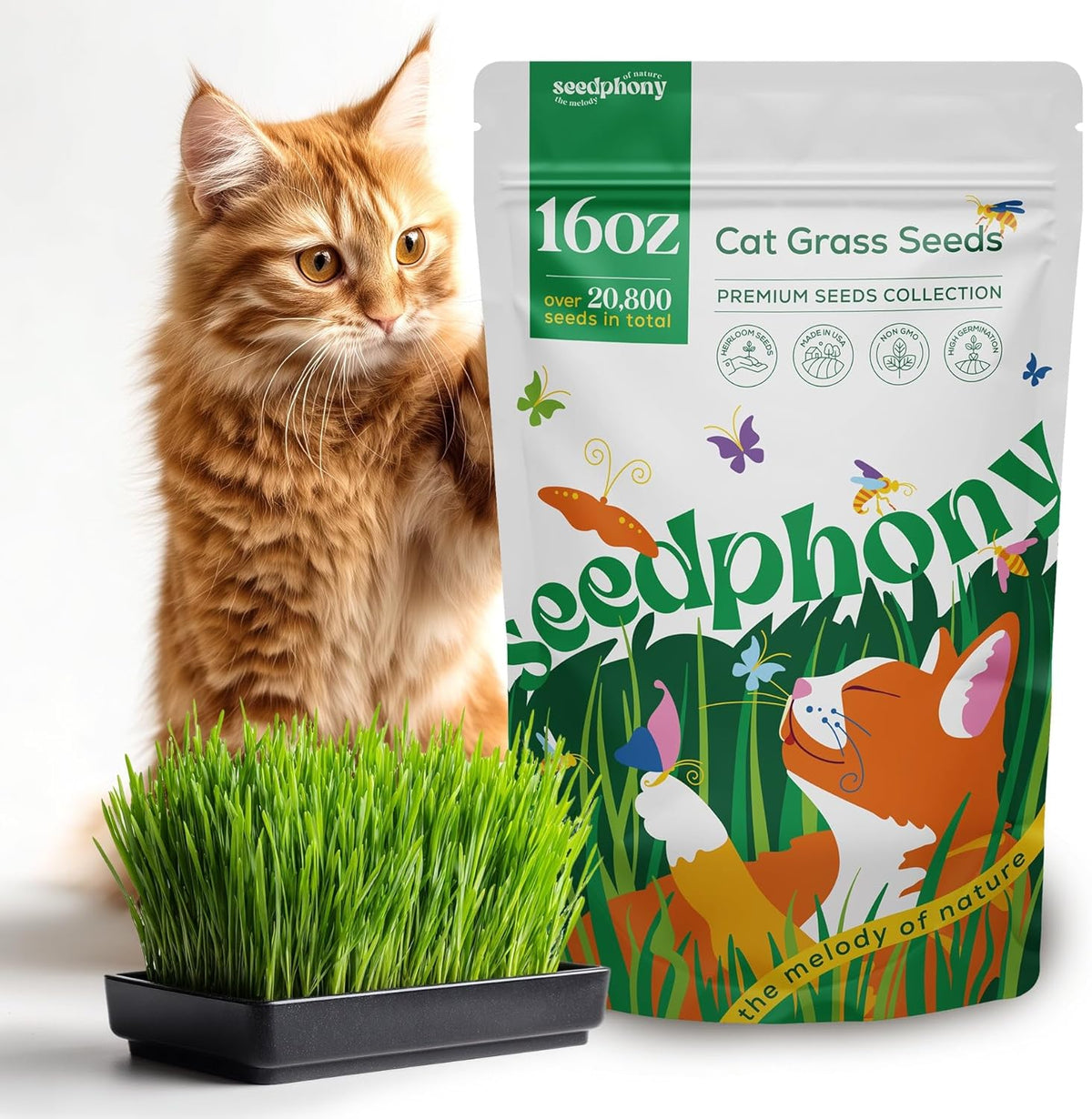 Cat Grass Seed Mix – 16 oz Pack with 20,500 Non-GMO Heirloom Seeds for Cats, Barley, Oat, Rye &