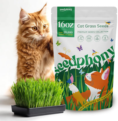 Cat Grass Seed Mix – 16 oz Pack with 20,500 Non-GMO Heirloom Seeds for Cats, Barley, Oat, Rye &