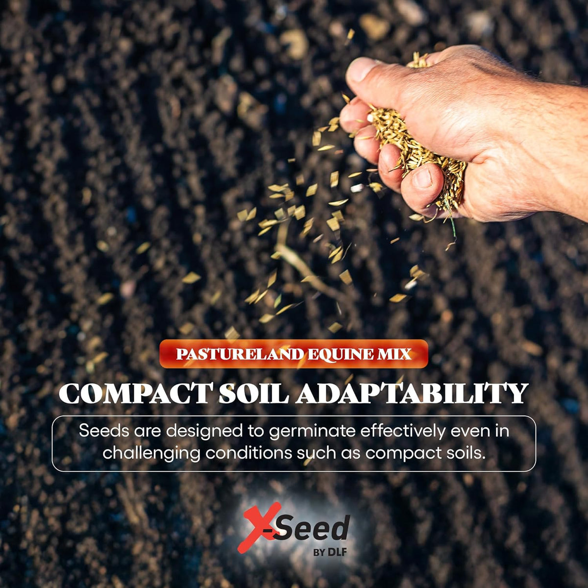 X-Seed Pasture Land Dry-Land Forage Seed Mixture with Micro-Boost – Tall Fescue Orchard Grass