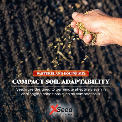 X-Seed Pasture Land Dry-Land Forage Seed Mixture with Micro-Boost – Tall Fescue Orchard Grass