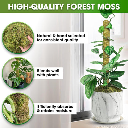 DUSPRO Natural Stackable Moss Pole for Plants Monstera, Forest Moss Sticks, Monstera Plant Support