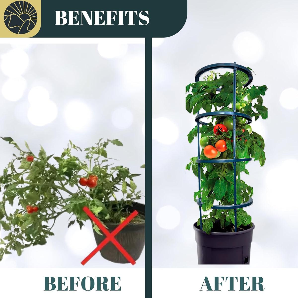 SunVara Small Tomato Cage for Pots Mini Tomato Cage Trellis 9'' Each 36'' in Total with Gloves