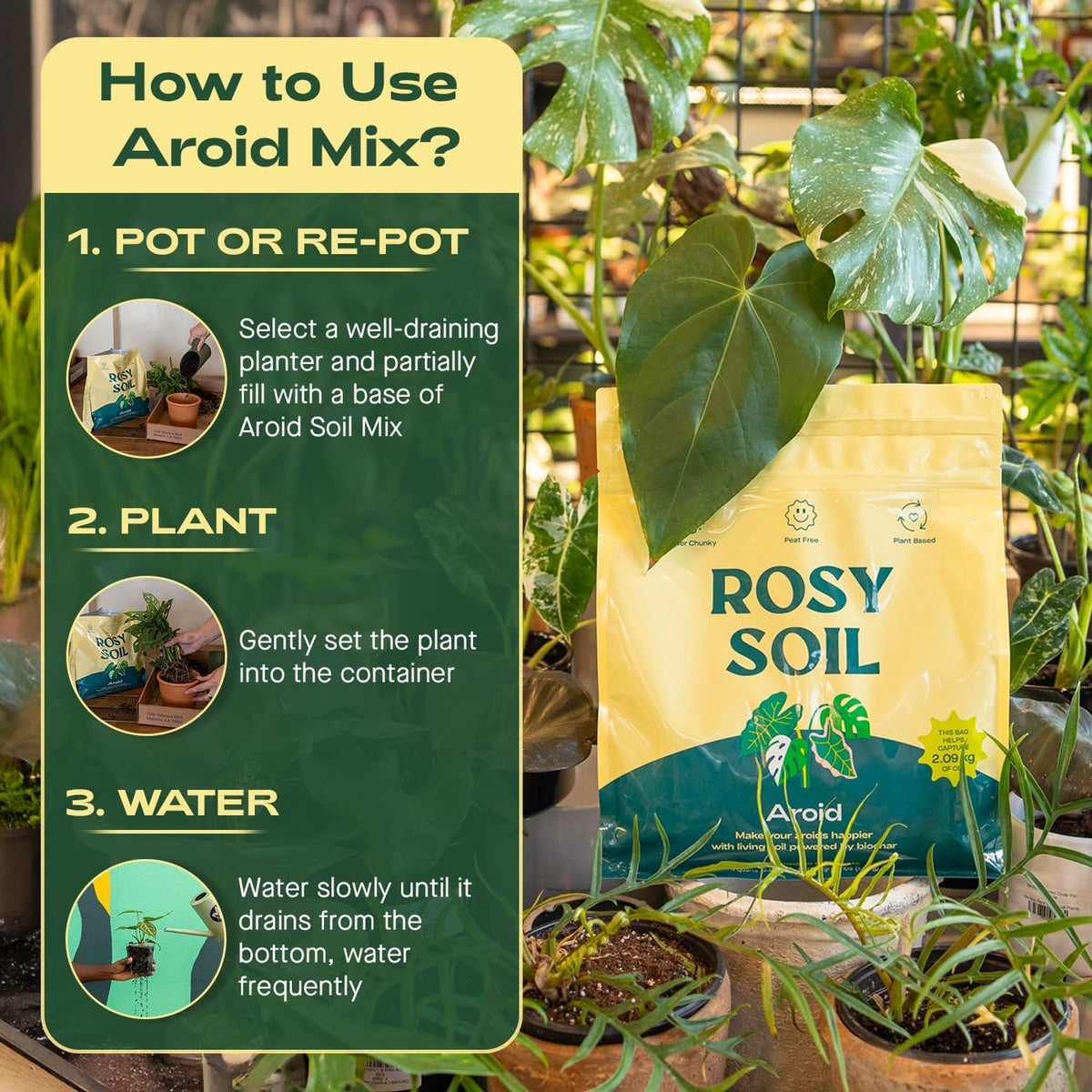 Rosy Soil Aroid Soil Potting Mix - Peat-Free, Microbially Active Biochar Powered Soil for Aroids