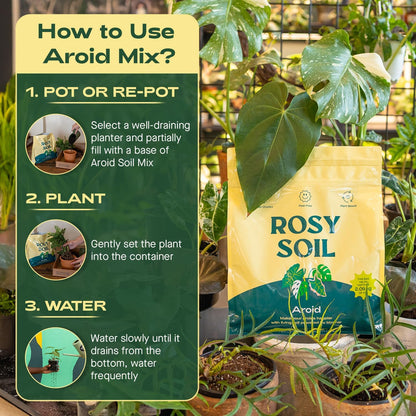 Rosy Soil Aroid Soil Potting Mix - Peat-Free, Microbially Active Biochar Powered Soil for Aroids