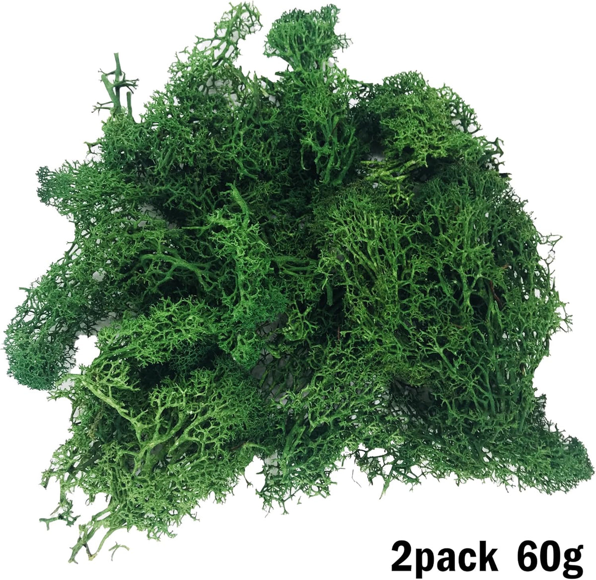 Cayway 83 PCS Fairy Garden Accessories Outdoor, Mixed Model Trees for DIY Craft Garden Decoration