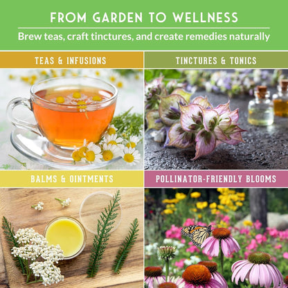 Ultimate Medicinal Herb Seeds Variety Pack – 36 Heirloom Non-GMO Healing Herbs for Planting |