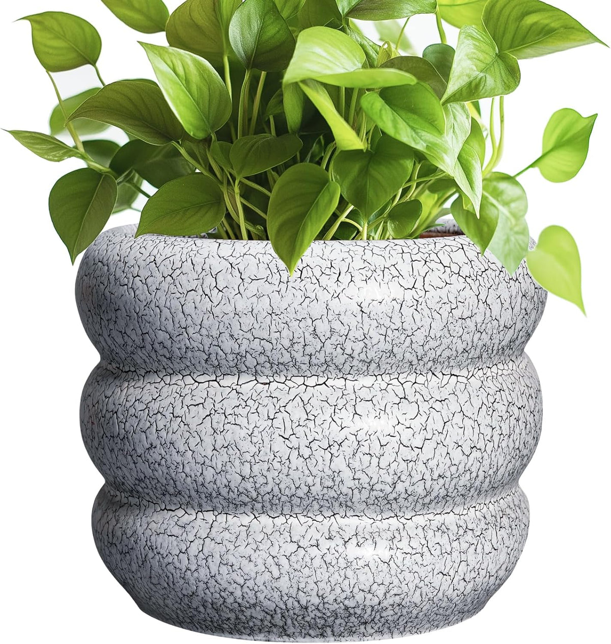 SQOWL Ceramic Pots for Plants - 8 Inch Plant Pot with Drainage Hole, Round Planter for Indoor