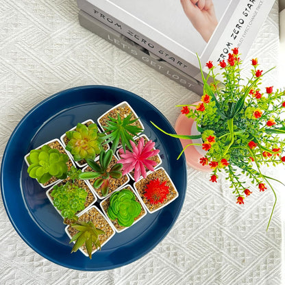 Ceramic Plant Saucers, 10 Inch (11 Inch) Plant Trays, Durable Round Glazed Ceramic Flower Plant