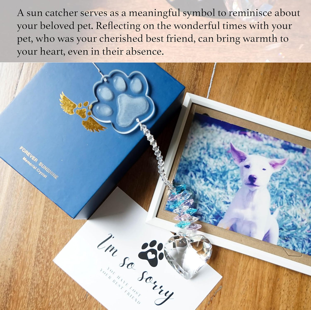 Pet Memorial Suncatcher, Dog Memorial Gifts, Pet Loss, Pet Sympathy, Thoughtful Dogs and Cats