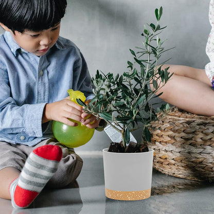 QCQHDU 5 inch Plant Pot, 2 Pack Planters for Indoor Plants with Drainage Holes & Saucer, Outdoor