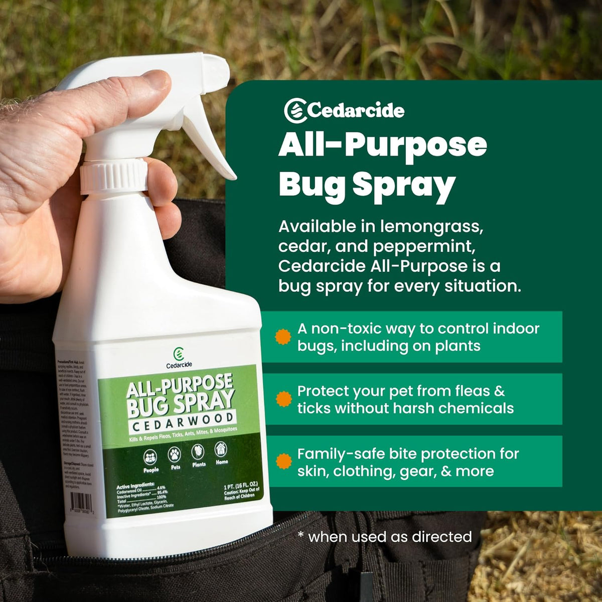 Cedarcide All-Purpose Bug Spray | Kill and Control Mosquitos, Fleas, Ticks, Ants | Made with