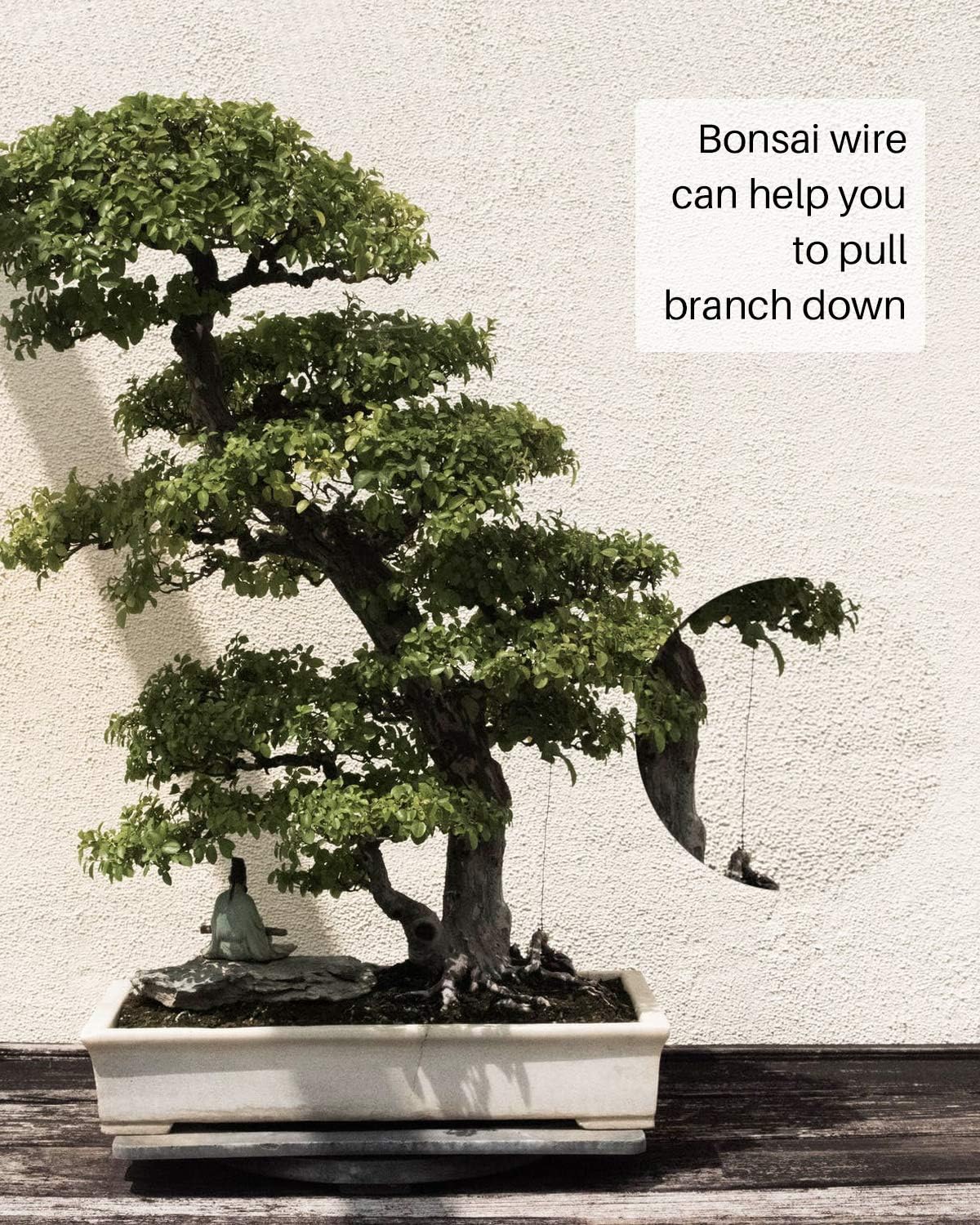MoHern Bonsai Wire and Bonsai Tool Kit, Total 164 Feet Bonsai Tree Wire for Bonzai Trees Indoor