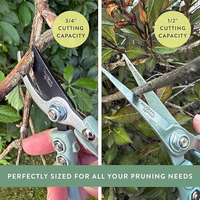 Modern Sprout Hand Pruners & Shears Set with Blister Pack - Lightweight Gardening Tools with Easy