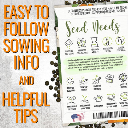 Seed Needs, Black-Eyed Susan Vine Seeds - 100 Heirloom Seeds for Planting Thunbergia alata - Annual