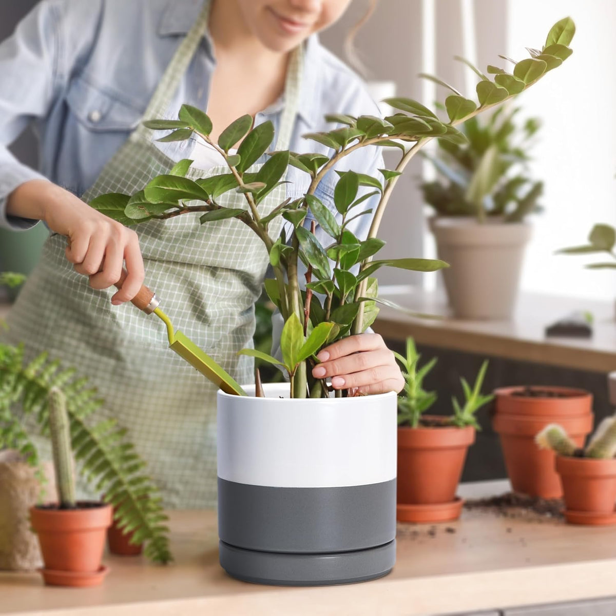 D'vine Dev Set of 2 Plants Pots, 6.5 Inch Ceramic Planter Pot for Plants with Drainage Hole and