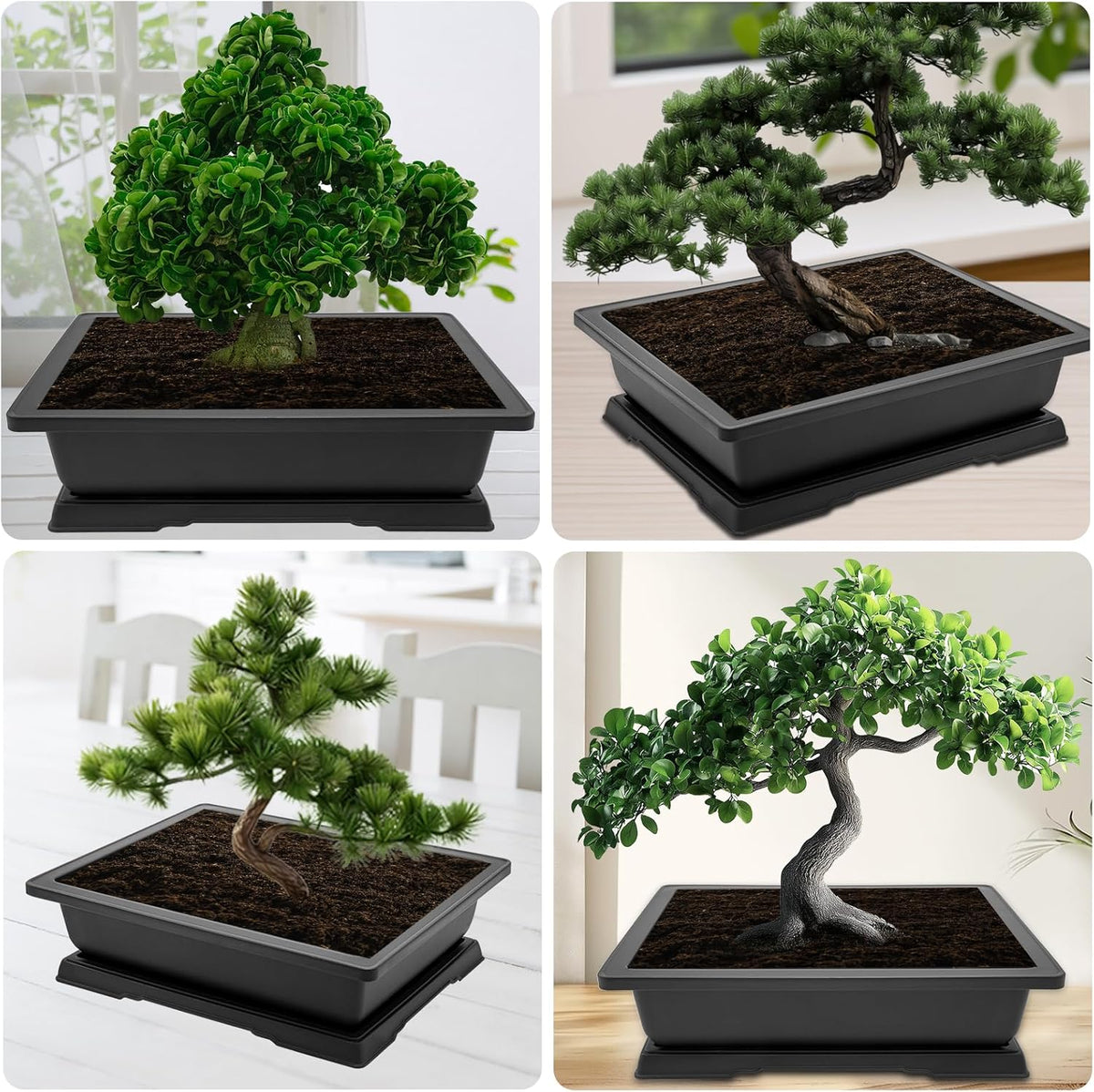 GROWNEER Large Bonsai Training Pots 3 Packs 14 Inch with Drainage Humidity Trays, Bonsai Tree