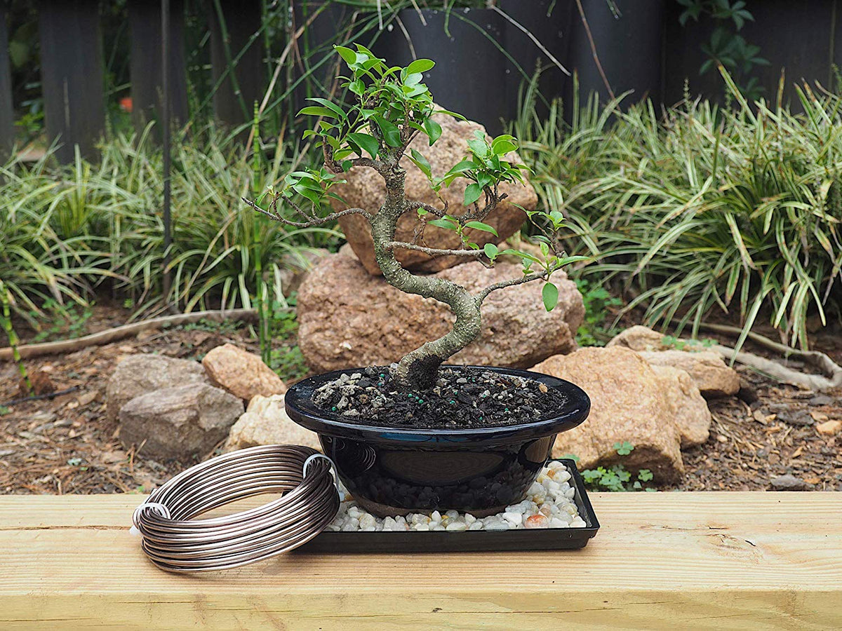 Anodized Aluminum 4.0mm Bonsai Training Wire 250g Large Roll (23 feet) - Choose Your Size and Color