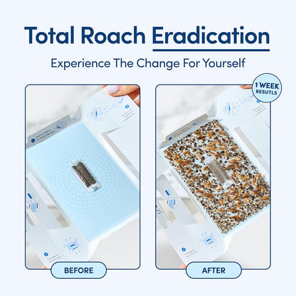 Shieldeck Roach Traps Indoor (12 Pack) - Cockroach Killer Indoor Home, Sticky Glue Cockroach Trap