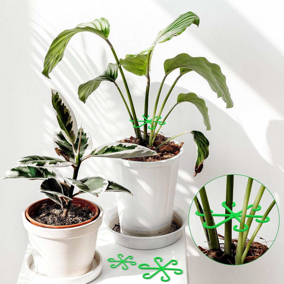 Plant Stem Support Set, 8Pcs 4 Sizes Plant Trellis Rings for Climbing Plants Indoor, Support Holder