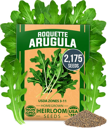 HOME GROWN 𝗨𝗦𝗔 𝗣𝗥𝗘𝗠𝗜𝗨𝗠 Arugula Roquette Seeds Pack 2,175 𝗡𝗢𝗡-𝗚𝗠𝗢 Heirloom Arugula