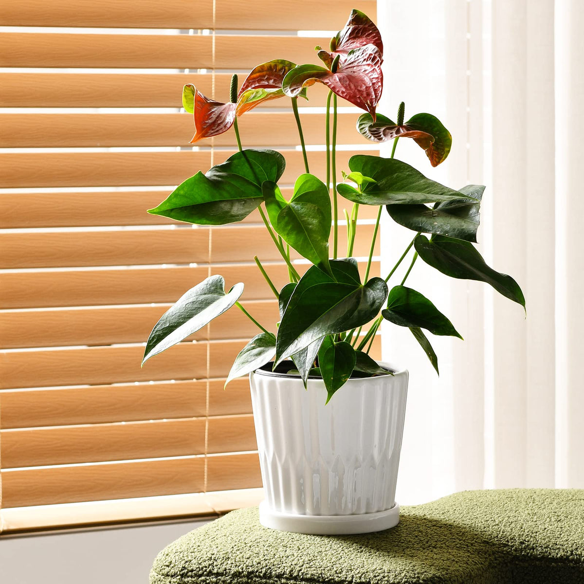 White 6 Inch Flower Pots for Plants,Ceramic Planter with Drainage Holes