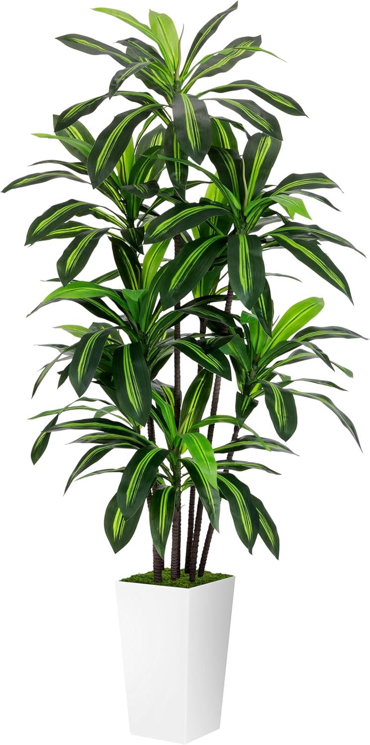 Artificial Dracaena Plant 6FT - Fake Tree with White Tall Planter - Faux Yucca Tall Fake Floor