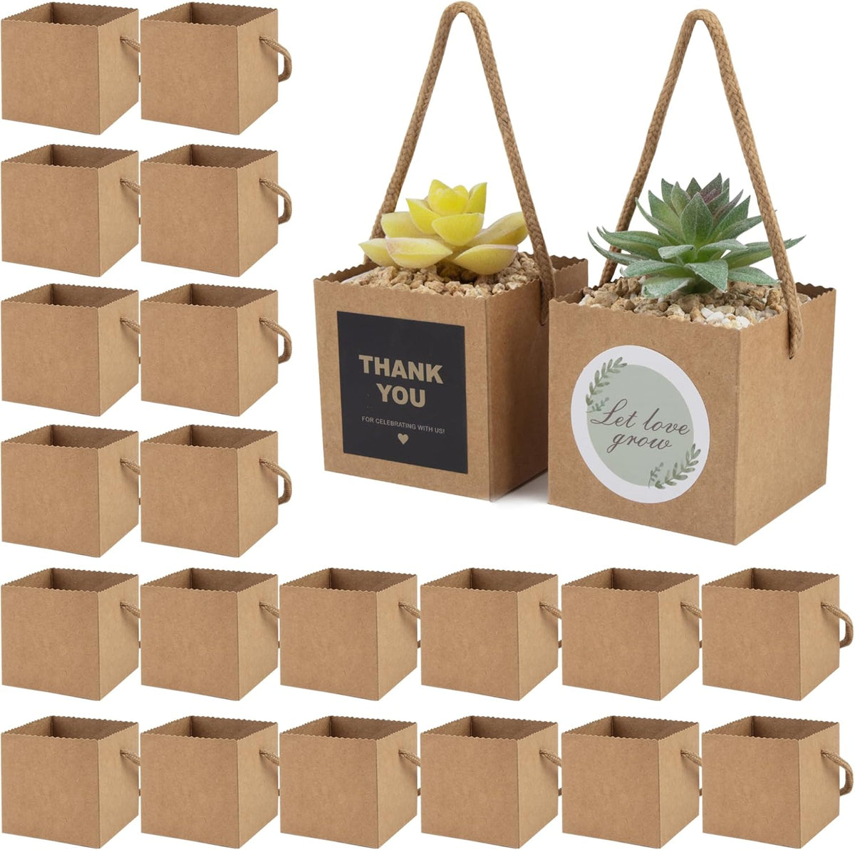 Temlum 2.5 Inch Succulent Wrap Bags (Fits 2.5″ Pots) with Thank You & Let Love Grow Stickers, Small