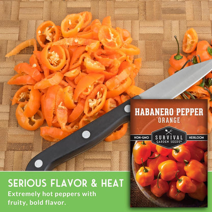Orange Habanero Pepper Seeds for Planting | Extremely Hot Fruity Chili for Planting | Heirloom
