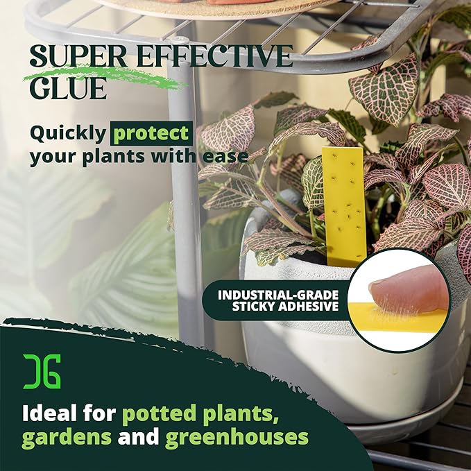 Catchmaster Dual Action Plant Labels 100 PK, Sticky Insect Trap Plant Stakes, for Live Plants