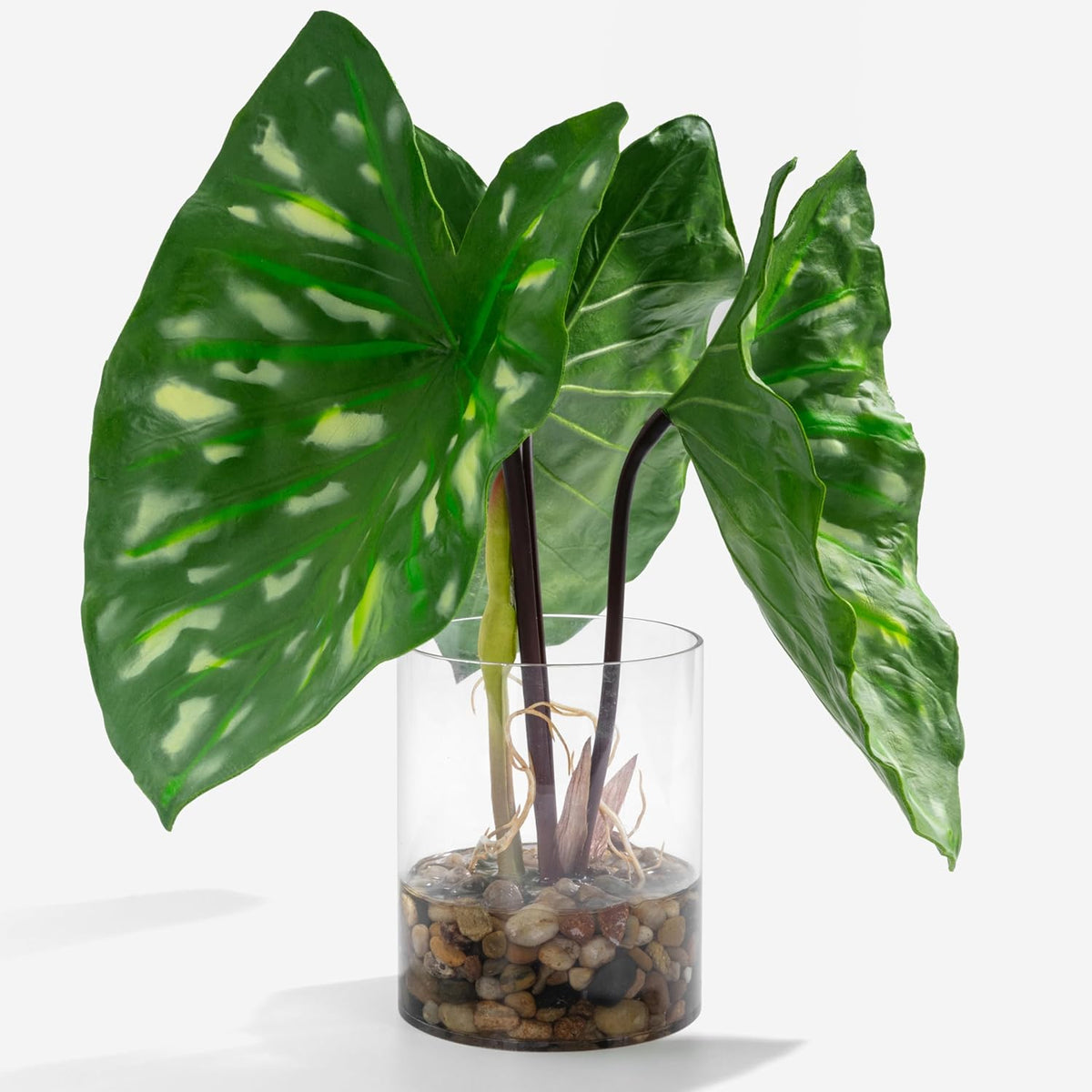 SUNPRAIRIE Tropical Artificial Plant in Clear Pot with Artificial Water, Wide Arrowhead Leaves.