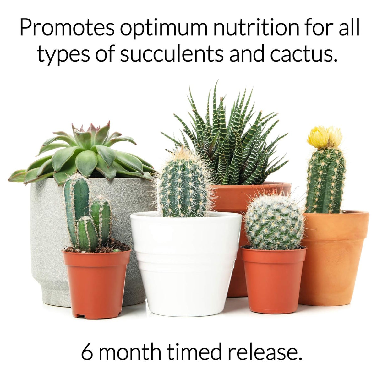 Leaves and Soul Succulent Fertilizer Pellets |13-11-11 Slow Release Pellets for All Cactus and